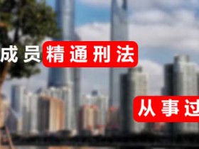 刑事诉讼法律服务